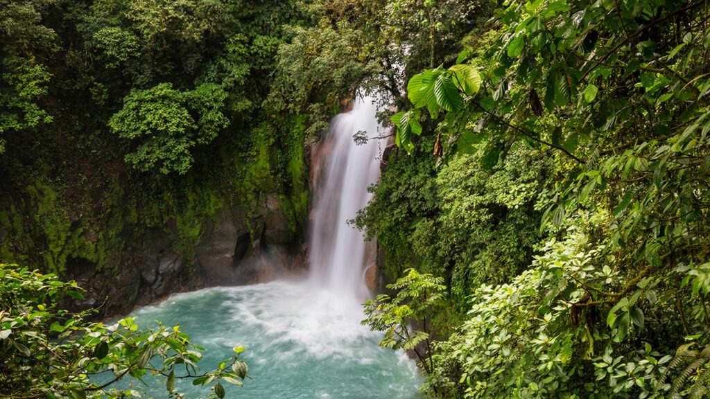 The Rich Flora of Costa Rica: A Botanical Treasure | Garden America