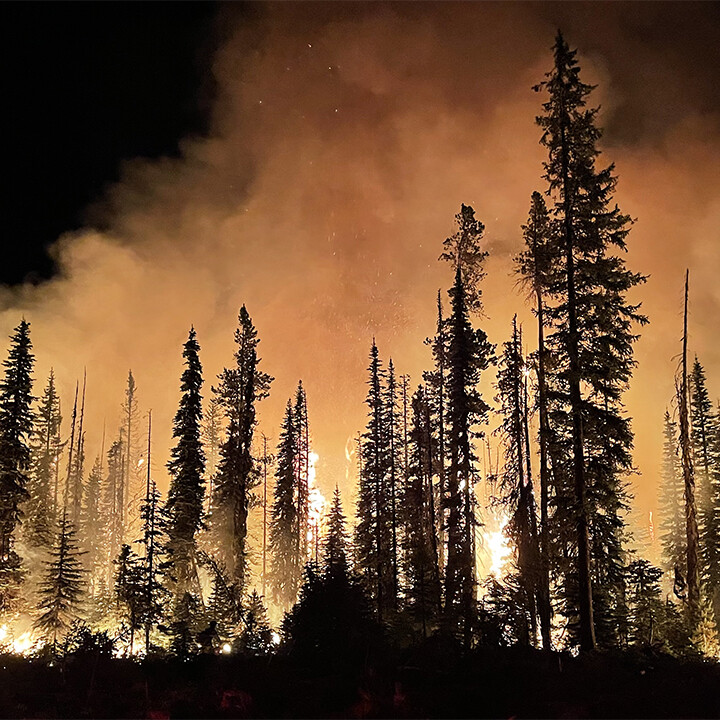 Umatilla National Forest burning at night