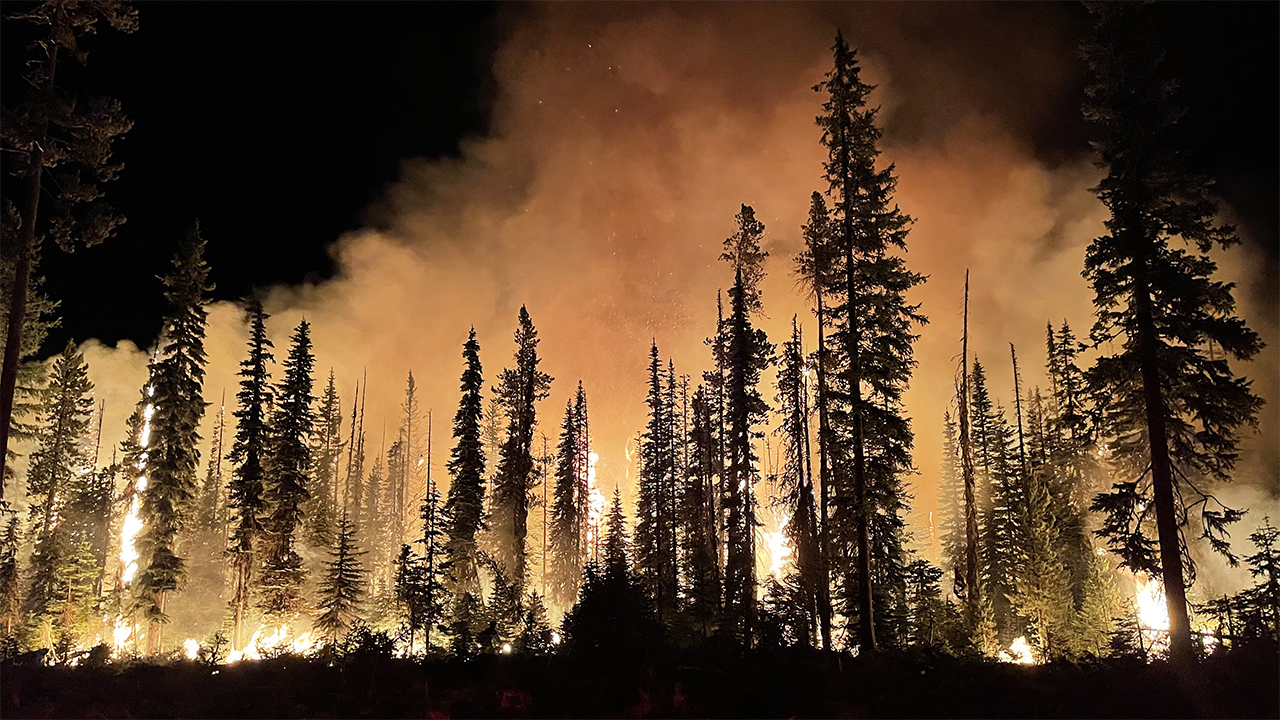 Umatilla National Forest burning at night