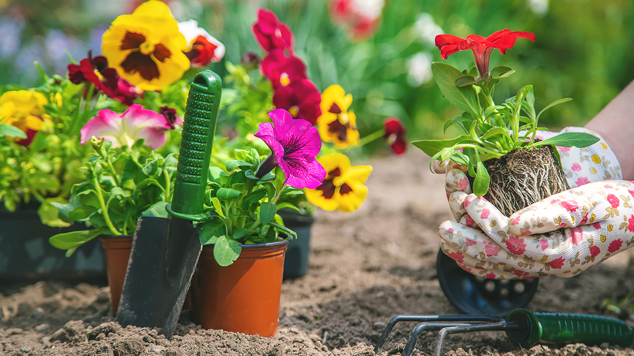 beware of fake gardening tips