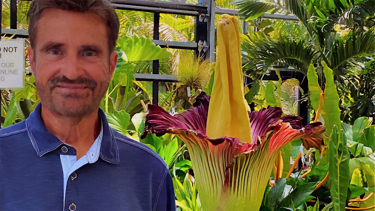 jon corpse flower