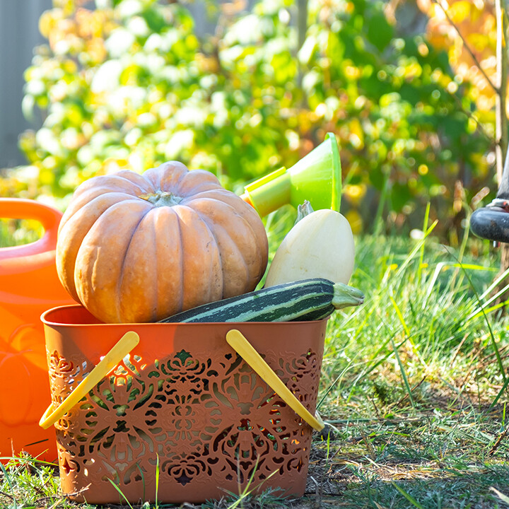 fall gardening tips and tricks