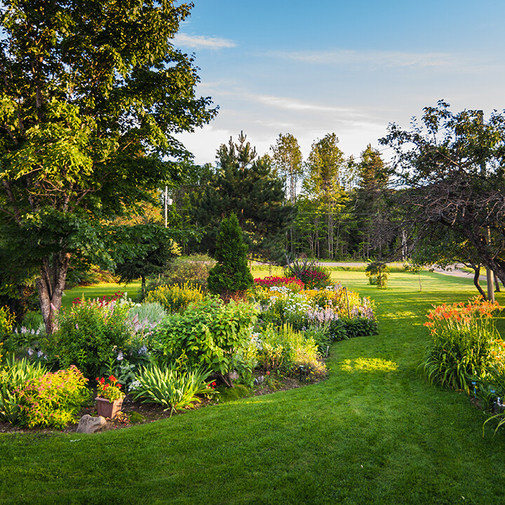 rehabbing garden landscapes