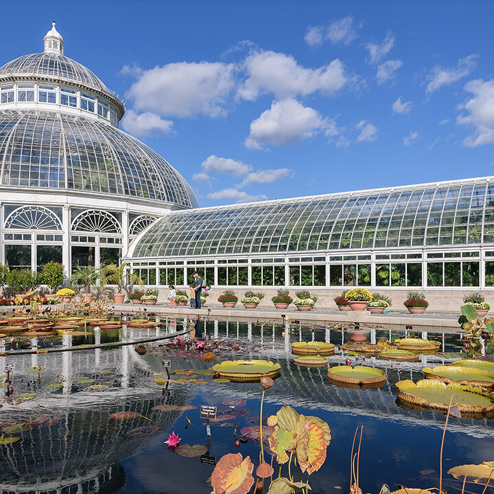 New York Botanical Garden