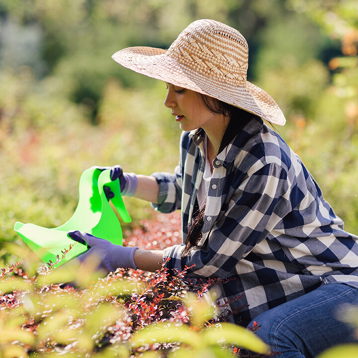 Tips for a Successful Fall Garden