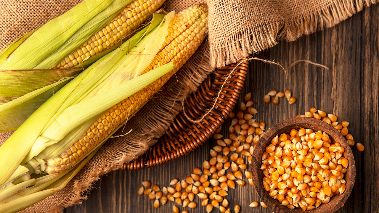 corn part of three sisters gardening