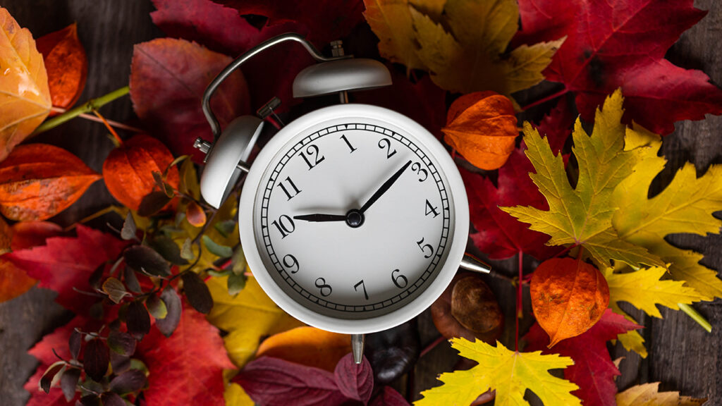 Falling Back The Impact and History of Daylight Savings Time Garden