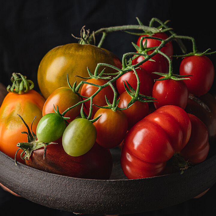 tomatoes more genes than humans