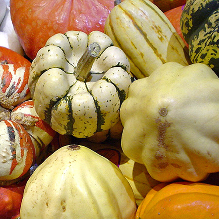 winter squashes