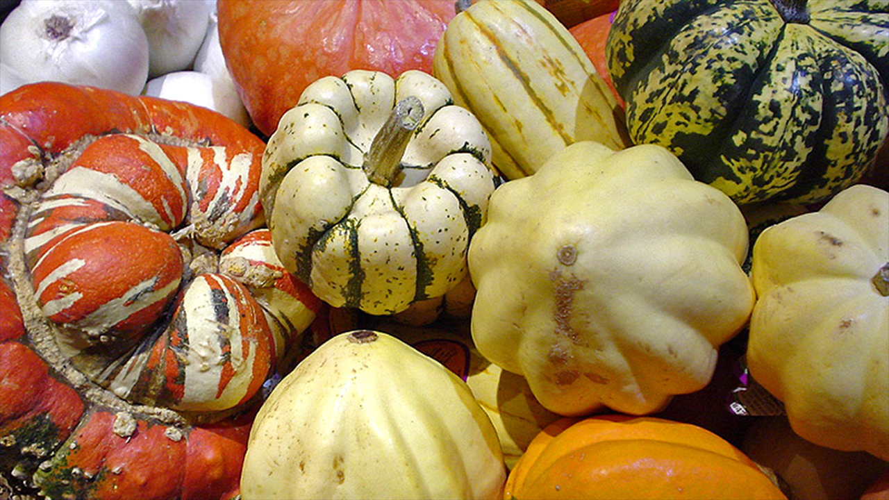 winter squashes