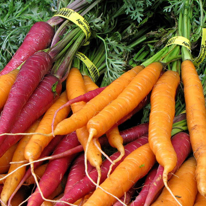 purple and orange carrots at market