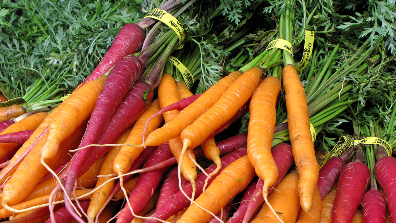 purple and orange carrots at market