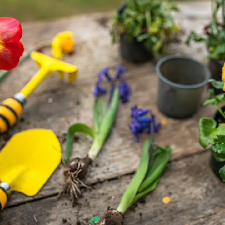 gardening tips